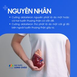  Cường aldosteron 3