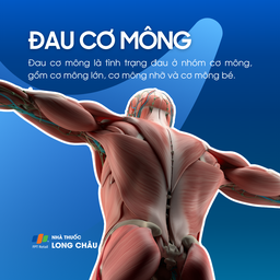 Đau cơ mông 1