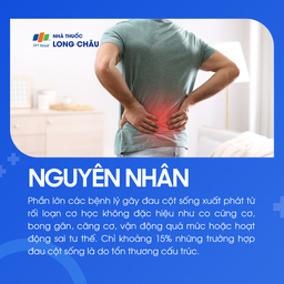 Đau cột sống thường do rối loạn cơ học như co cứng cơ, căng cơ, sai tư thế, bong gân hoặc vận động quá mức