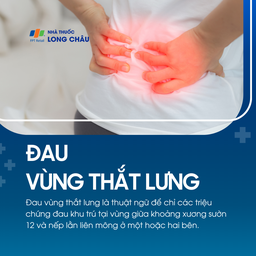 Đau vùng thắt lưng 1