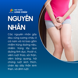 Đau xương chậu 3