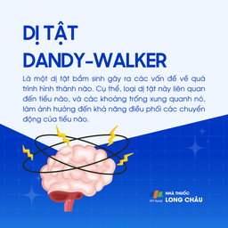 Dị tật Dandy-Walker 1