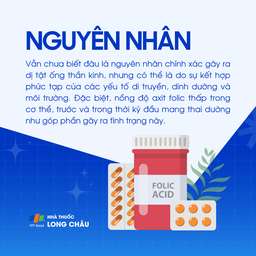 Dị tật ống thần kinh  3