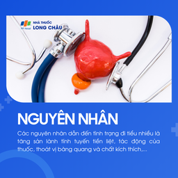 Đi tiểu nhiều 3