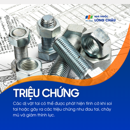 Dị vật trong tai 2