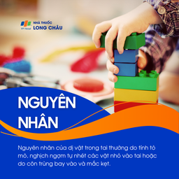 Dị vật trong tai 3