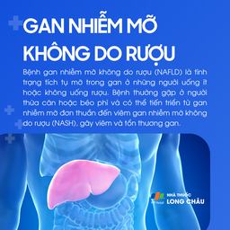 Gan nhiễm mỡ không do rượu 1
