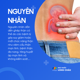 Ghép thận 3