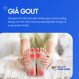 Giả gout 1