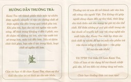 Trà Thảo Dược Giảo Cổ Lam Kami Tea (20 túi lọc x 2g)