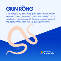 Giun rồng 1