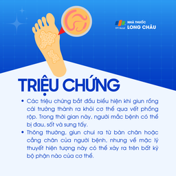 Giun rồng 2