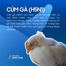 H5N1 1