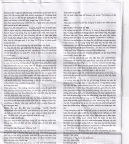 Thuốc Hemetrex 2,5mg Herabiopharm điều trị viêm khớp dạng thấp nặng (10 vỉ x 10 viên)