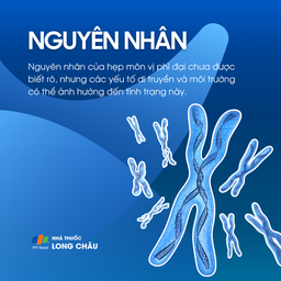 Hẹp môn vị phì đại 3