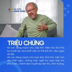 Hở van động mạch chủ 2