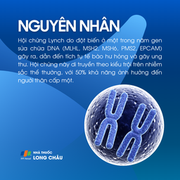 Hội chứng Lynch 3