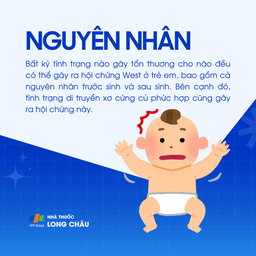 Hội chứng west 3