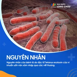Vết thương bị nhiễm trùng Clostridium tetani, vi khuẩn gây ra bệnh uốn ván, thường xảy ra ở những vùng không sạch sẽ