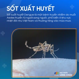 Sốt xuất huyết Dengue 1