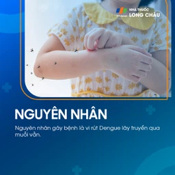 Sốt xuất huyết Dengue 3