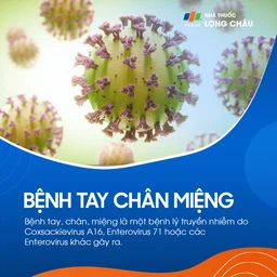 Bệnh tay, chân, miệng 1