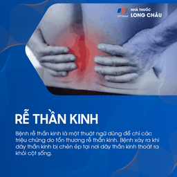 Rễ Thần Kinh 1