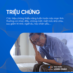 Thiểu năng tuần hoàn não 2