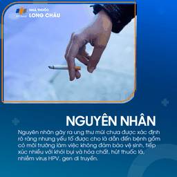 Ung thư mũi 3