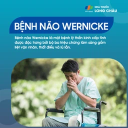 Bệnh não Wernicke 1