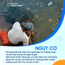 Ghẻ 4