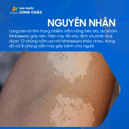 Lang Ben 3
