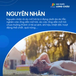 Rôm Sảy 3