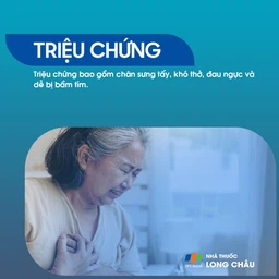 Rối loạn đông máu 2