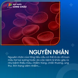 Tăng tiểu cầu 3