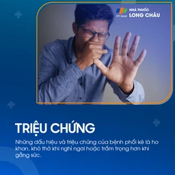 Phổi mô kẽ 2