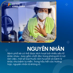 Phổi mô kẽ 3