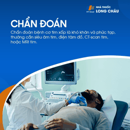 Cơ tim xốp 5