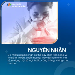 nang vú 3