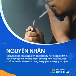 Phổi kẽ 3