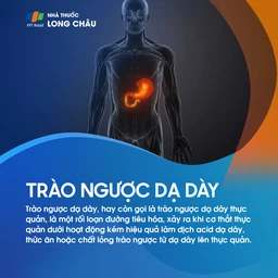 Trào ngược dạ dày thực quản 1