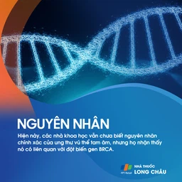 Ung thư vú thể tam âm 3