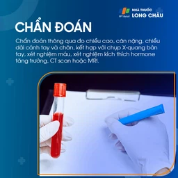 Lùn tuyến yên 6