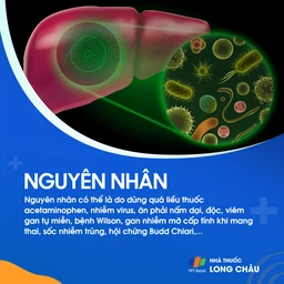 Suy Gan Cấp 3