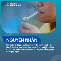 Bạch sản 3