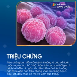Bệnh hột xoài 2