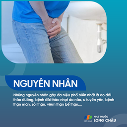 Đa niệu 3