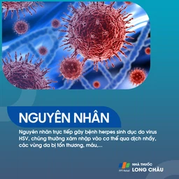 Herpes sinh dục 4