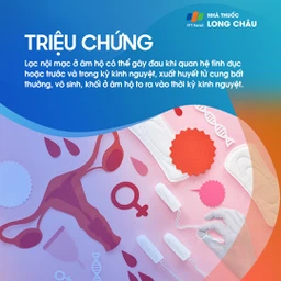 Lạc nội mạc ở âm hộ 2
