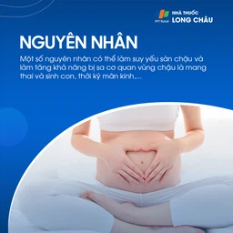 Sa sinh dục 3